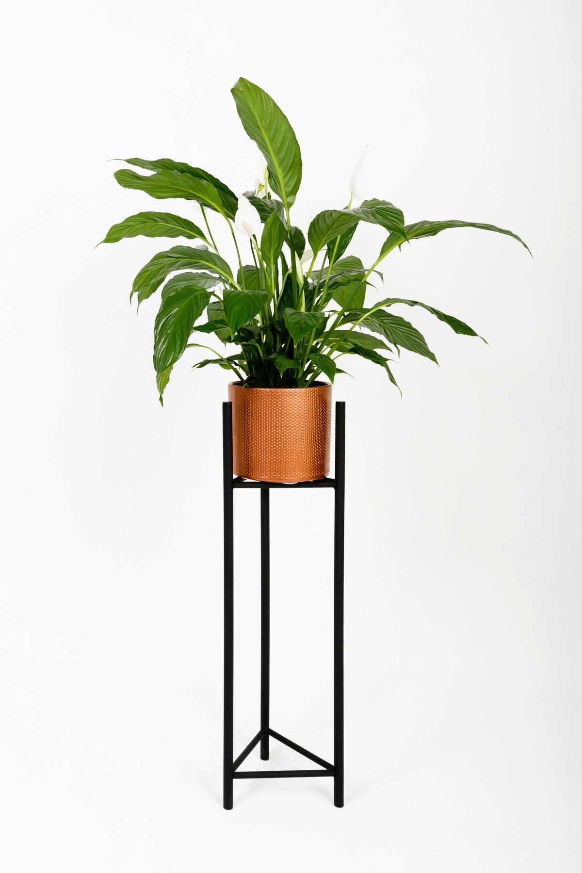BLUMENSTÄNDER Metall  - Schwarz, Basics, Metall (23/75/23cm)