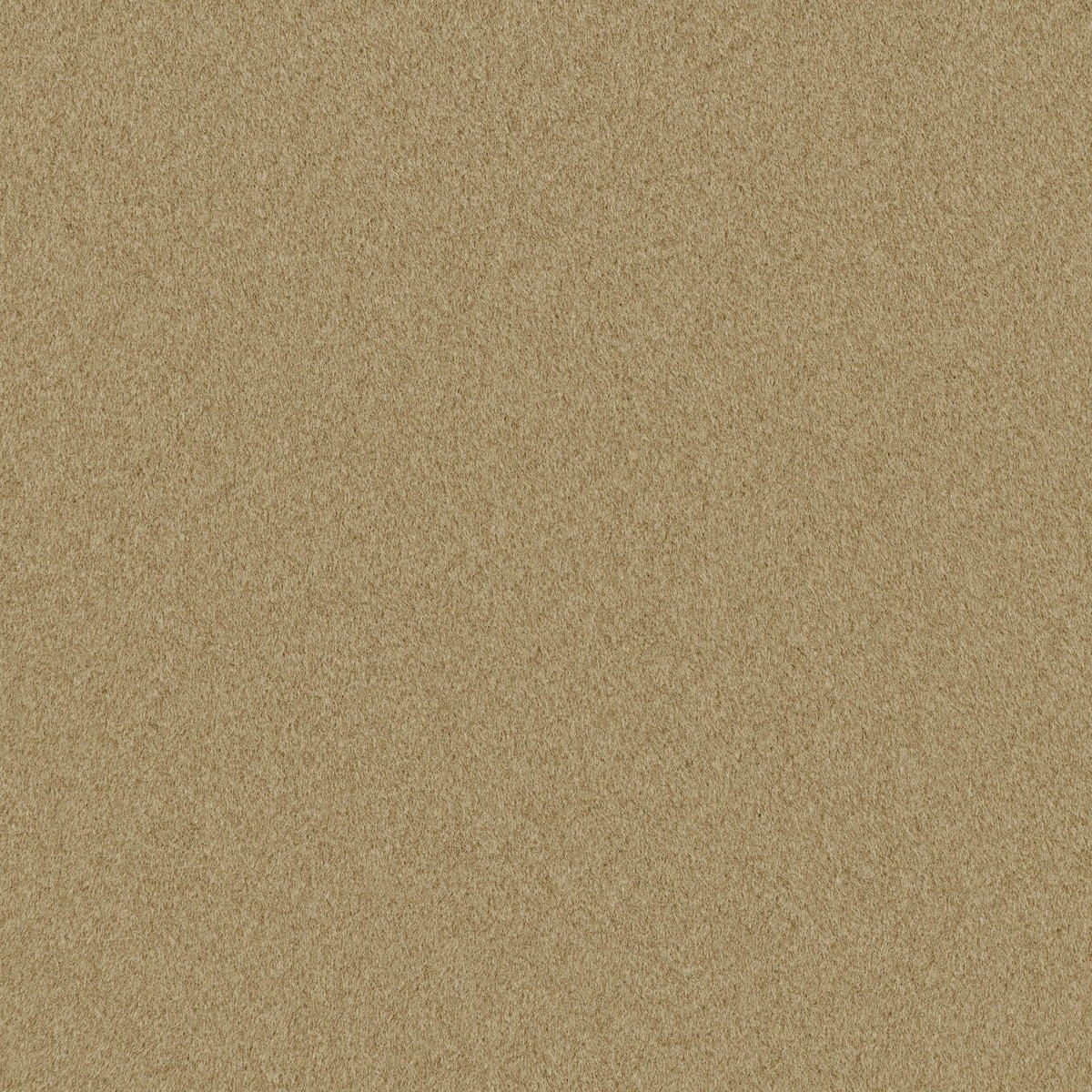 POLSTERBETT 200/200 cm,  in Goldbraun,  - Goldbraun/Schwarz, Design, Textil/Metall (200/200cm) - Belluti