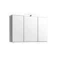 SPIEGELSCHRANK 100/64/20 cm  - Chromfarben/Graphitfarben, KONVENTIONELL, Glas/Holzwerkstoff (100/64/20cm) - Xora