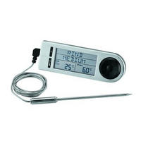 BRATENTHERMOMETER  - Grau Hochglanz, Basics, Metall (15/4,8/2cm) - Rösle