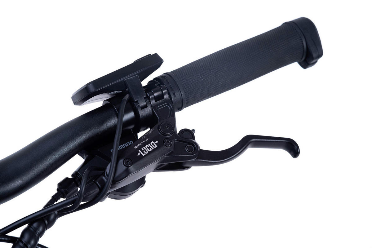 ELEKTROFAHRRAD ENFORCE 221E 29 Zoll  - Blau, Basics, Metall (180/70/100cm)