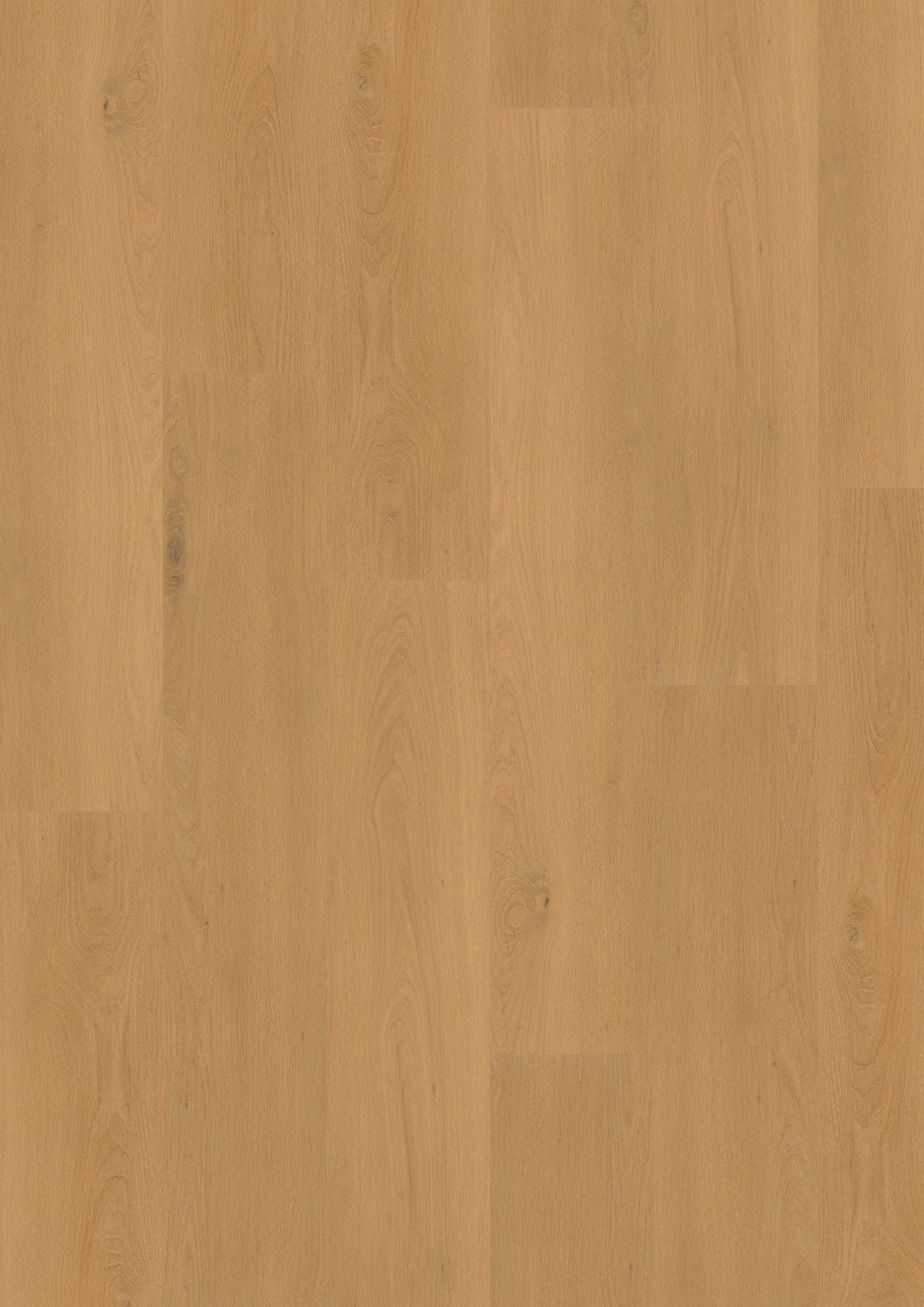 VINYLBODEN NOVO Eiche Yuma 100062201  per  m² - Eichefarben, Design, Holzwerkstoff (120,5/21/0,98cm) - Tilo