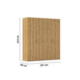 DREHTÜRENSCHRANK 201/223/60 cm 4-türig Eichefarben  - Eichefarben/Silberfarben, Design, Holzwerkstoff/Kunststoff (201/223/60cm) - Novel