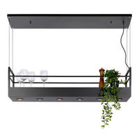 HÄNGELEUCHTE 110/22/160 cm    - Schwarz, Modern, Metall (110/22/160cm) - Lucide