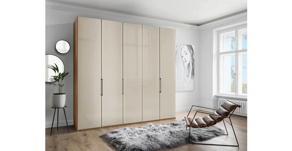 DREHTÜRENSCHRANK in Champagner, Eiche Bianco - Schieferfarben/Eiche Bianco, KONVENTIONELL, Glas/Holzwerkstoff (250/236/58cm) - Dieter Knoll