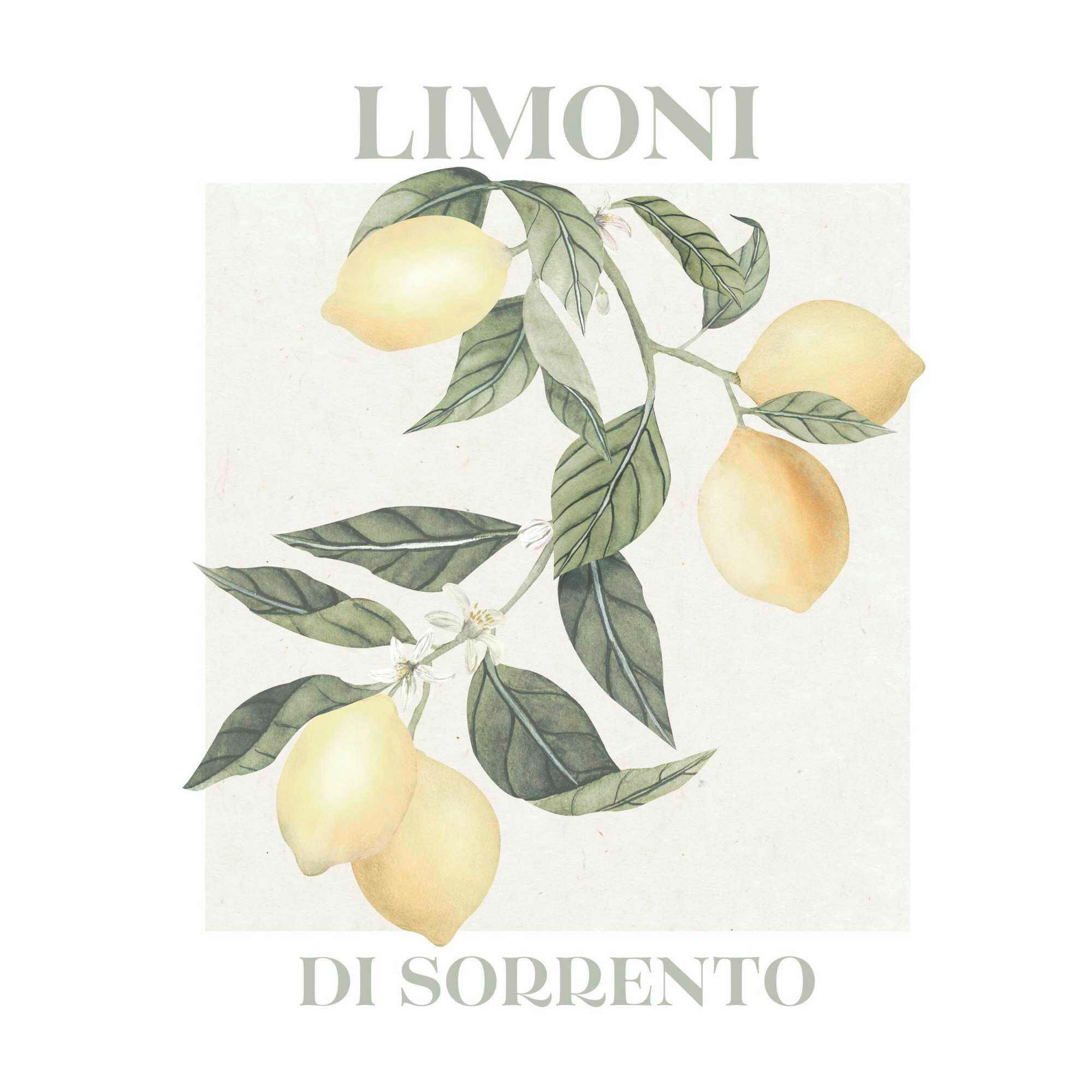 POSTER 40/50 cm  - Multicolor, Natur, Papier (40/50cm) - Reinders!