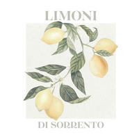 POSTER 40/50 cm  - Multicolor, Natur, Papier (40/50cm) - Reinders!