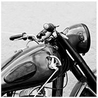 STEKLENA SLIKA    - črna/bela, Basics, steklo (80/80/1,5cm)