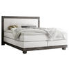 BOXSPRINGBETT 180/200 cm  in Weiß, Akaziefarben  - Weiß/Akaziefarben, KONVENTIONELL, Holz/Textil (180/200cm) - Hasena