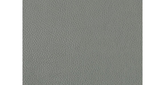 2,5-SITZER in Leder Grau - Schwarz/Grau, Design, Leder/Metall (200/102/92cm) - Johann Jakob