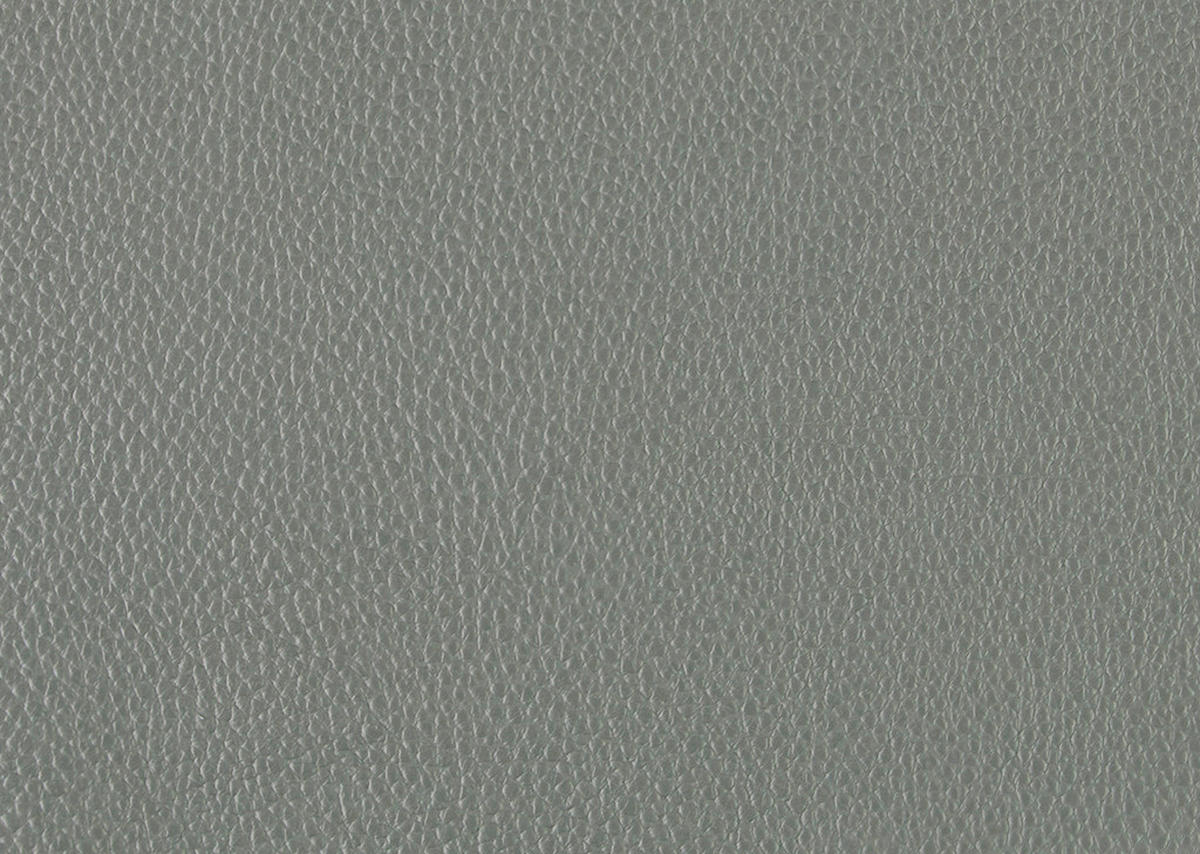 2,5-SITZER in Leder Grau  - Schwarz/Grau, Design, Leder/Metall (200/102/92cm) - Johann Jakob