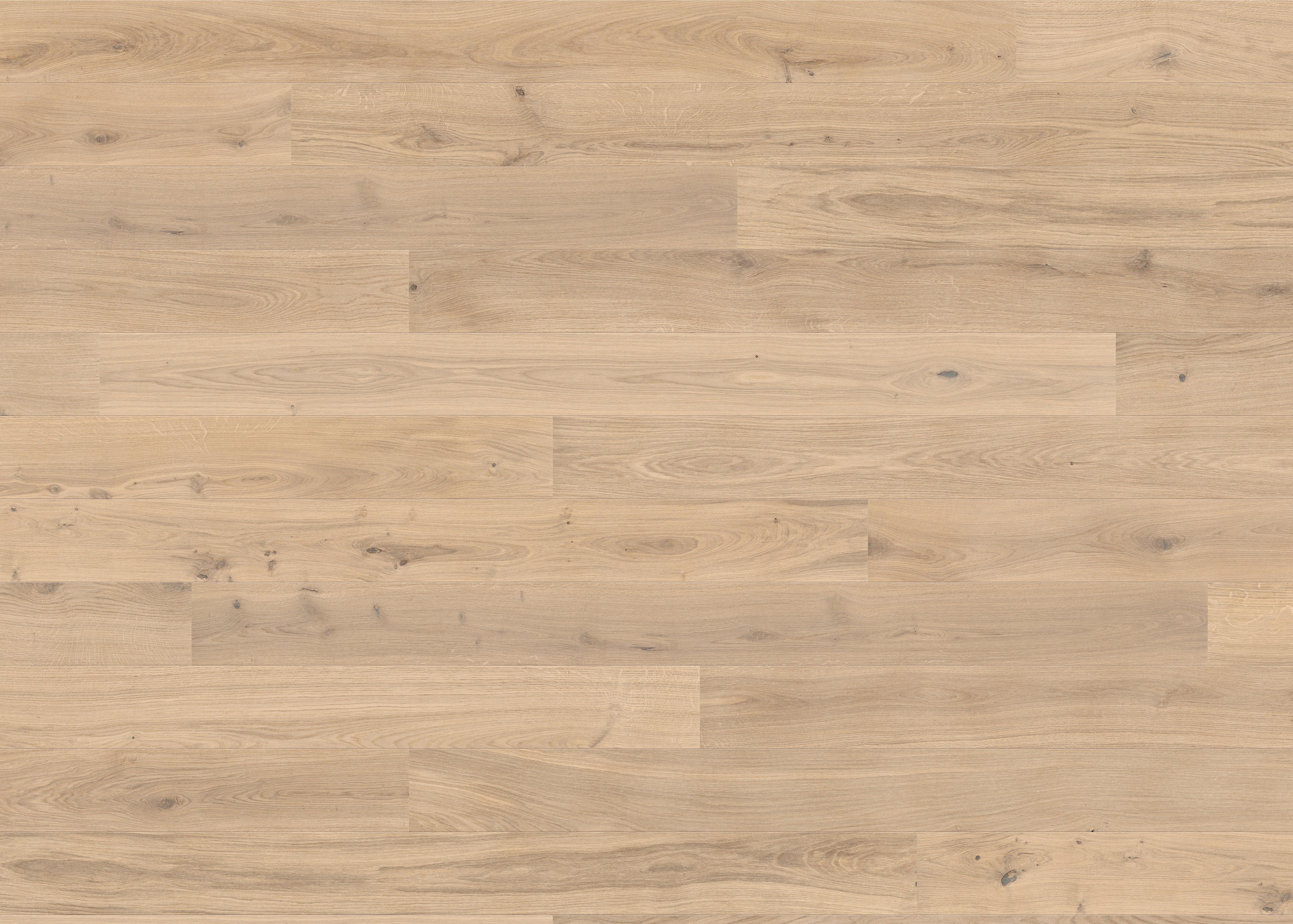 PARKETTBODEN Living by HARO PARKETT 2500 LA  per  m² - Hellbraun, Basics, Holzwerkstoff (18/220cm) - Living by HARO