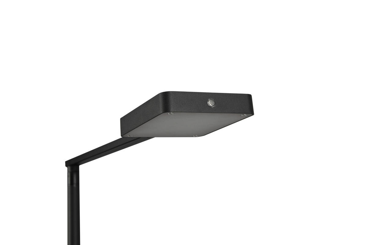 LED-STEHLEUCHTE - Schwarz, Design, Metall (48/130,5cm) - Trio Leuchten