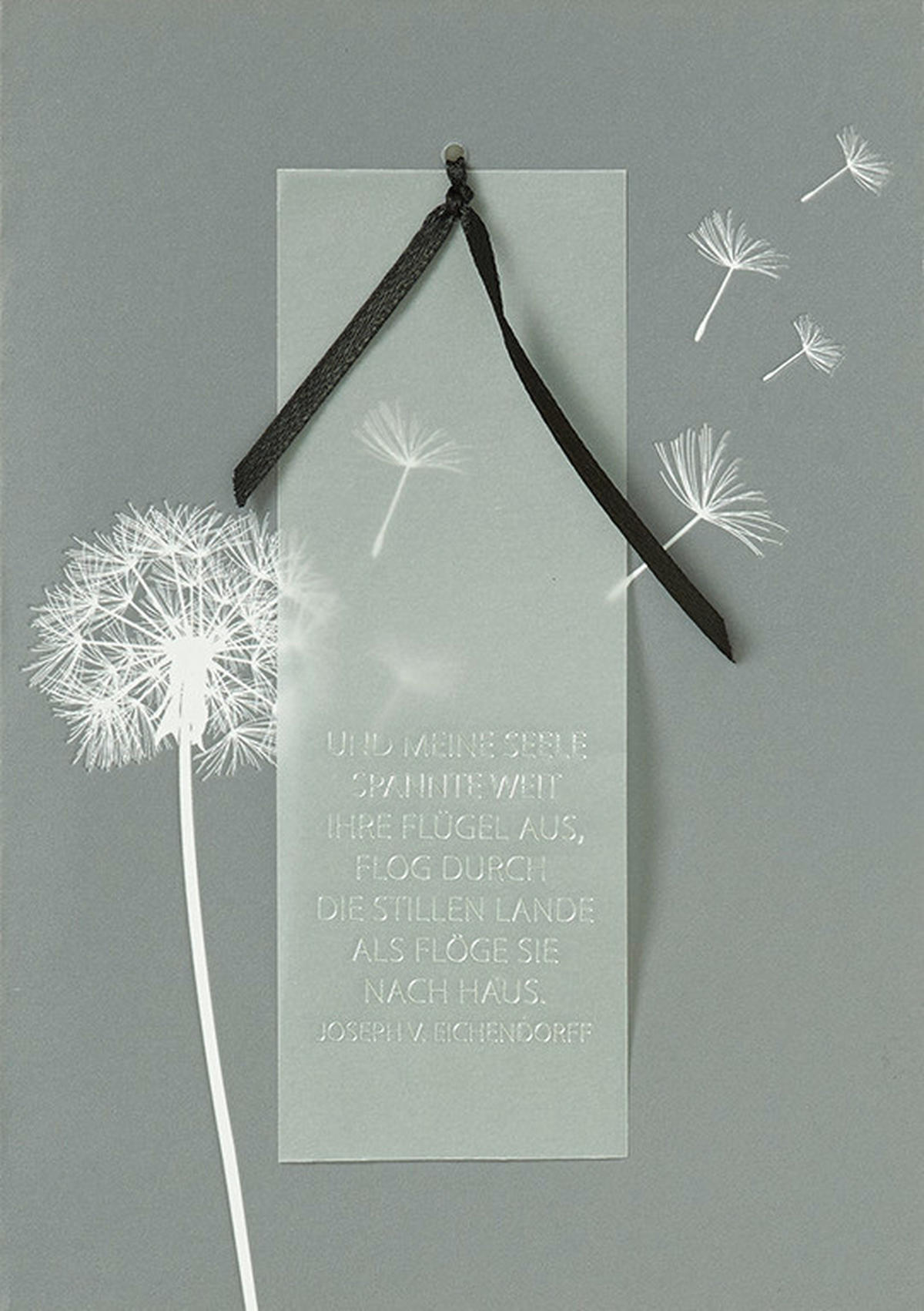 KARTE  - Basics, Papier (12/17cm) - Räder