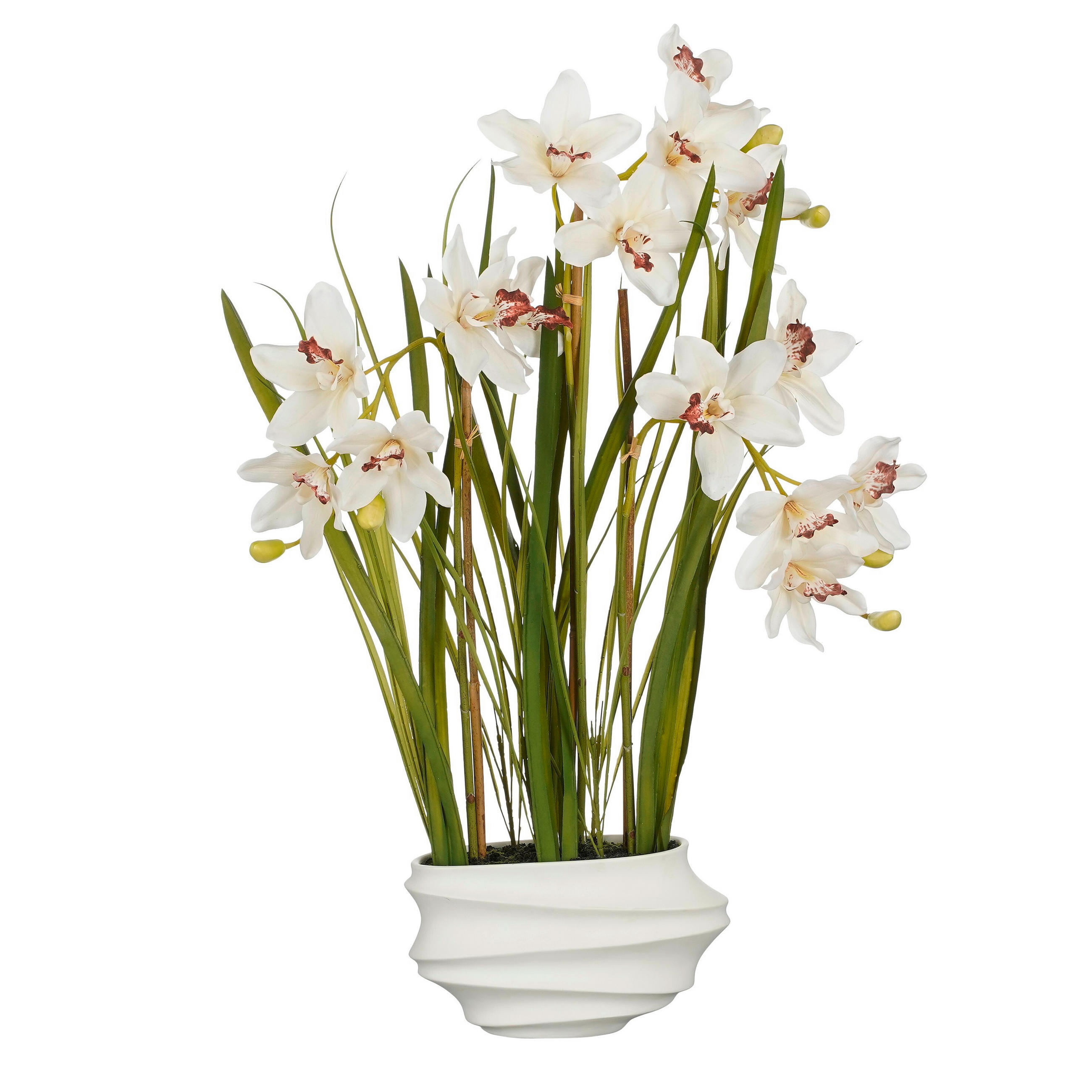 CSÓNAKORCHIDEA - krém, Basics, műanyag (49/40/81cm)