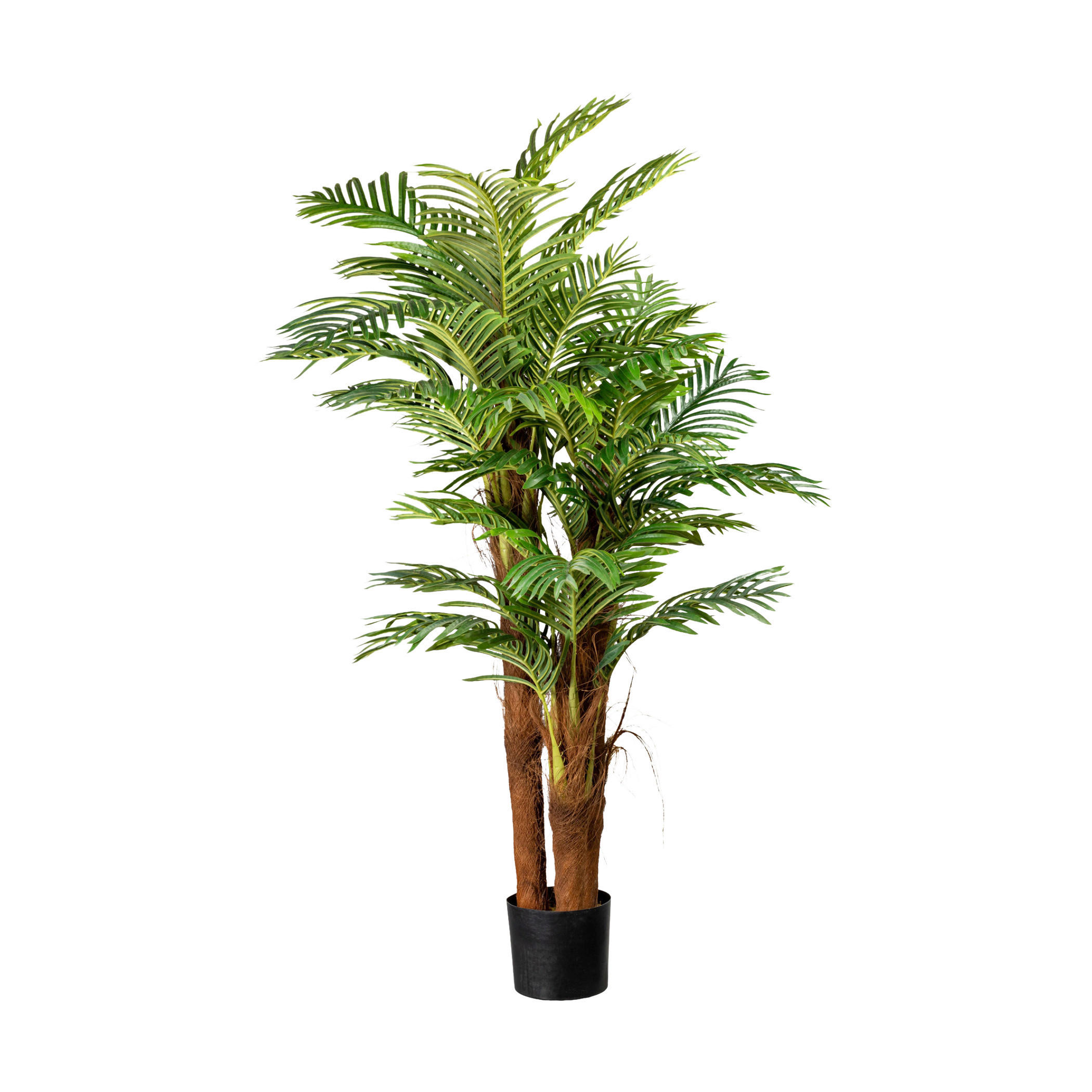 KUNSTPFLANZE Palme 160 cm  - Schieferfarben/Braun, Basics, Kunststoff (160cm)