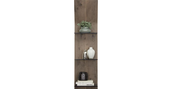 WANDPANEEL 32,5/123,2/23,5 cm - Eichefarben, Design, Glas/Holz (32,5/123,2/23,5cm) - Moderano