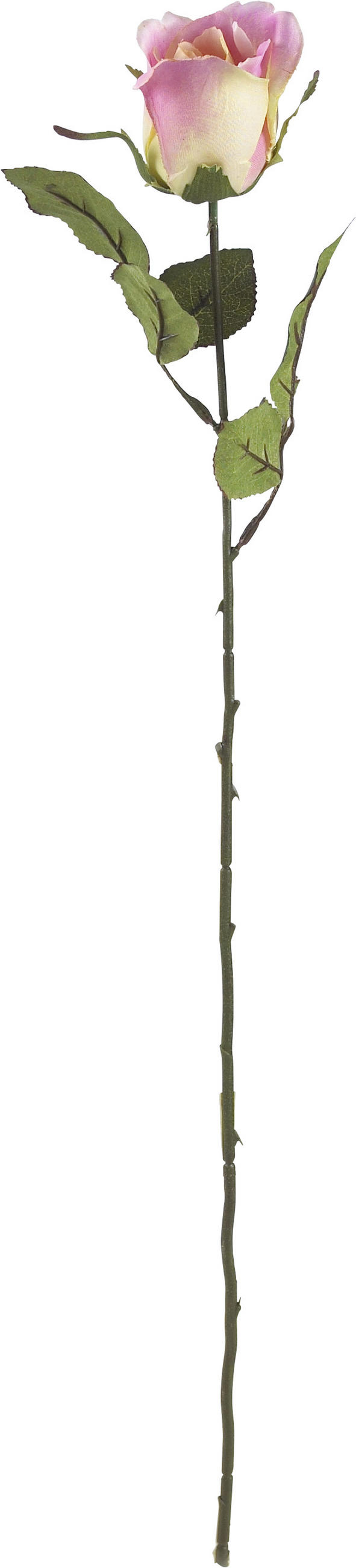 CVIJEĆE UMJETNO  - narančasta/bijela, Basics, tekstil/plastika (62cm)