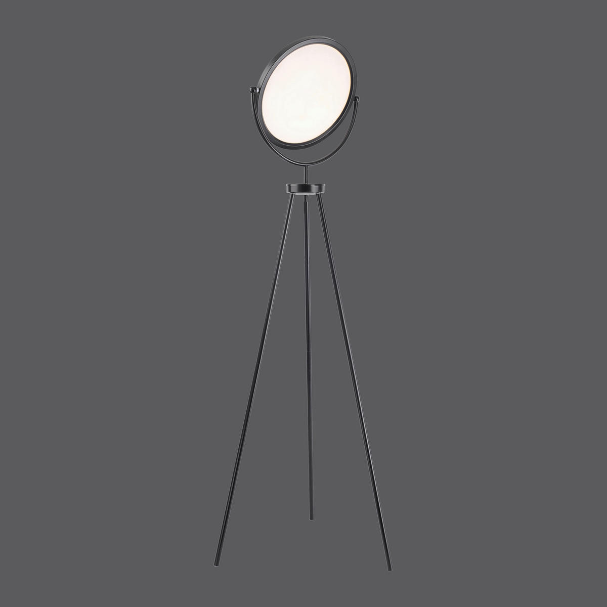 LED SVJETILJKA PODNA Carl  - crna, Design, metal/plastika (45/45/138-154cm)