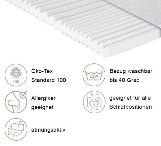 KALTSCHAUMMATRATZE 100/200 cm Höhe ca. 10 cm  - Weiß, Basics, Kunststoff/Textil (100/200cm) - P & B