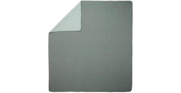 WOHNDECKE 220/240 cm  - Jadegrün/Hellgrün, Basics, Textil (220/240cm) - Novel