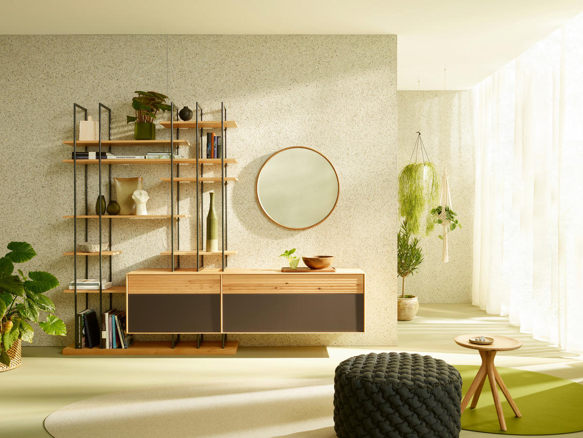 WOHNWAND  in Buchefarben, Dunkelbraun  256,4/214,6/47 cm  - Dunkelbraun/Buchefarben, Design, Glas/Holz (256,4/214,6/47cm) - Anrei