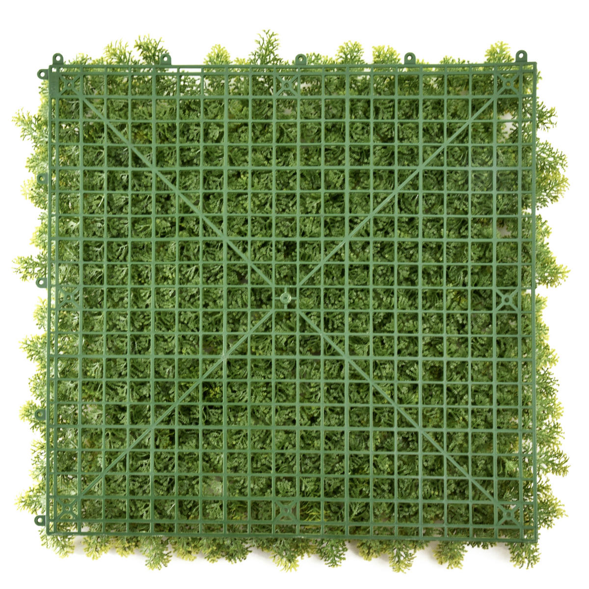 KUNSTPFLANZE  - Grün, MODERN, Kunststoff (55/55/7cm) - MID.YOU