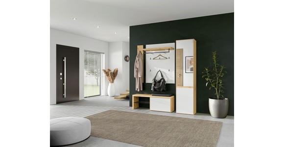 GARDEROBENPANEEL 119,6/122,8/30 cm - Wildeiche/Weiß, Design, Glas/Holz (119,6/122,8/30cm) - Moderano