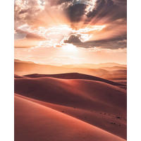 NON WOVEN-TAPET 200/250 cm  - beige/brun, Natur (200/250cm) - Komar