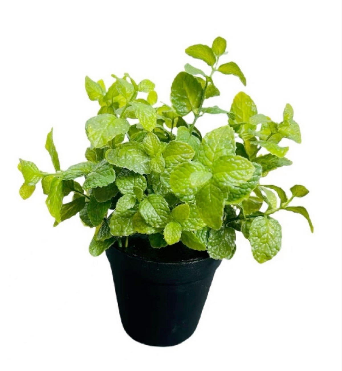 KUNSTPFLANZE 25 cm  - Grün, Basics, Kunststoff (25cm)