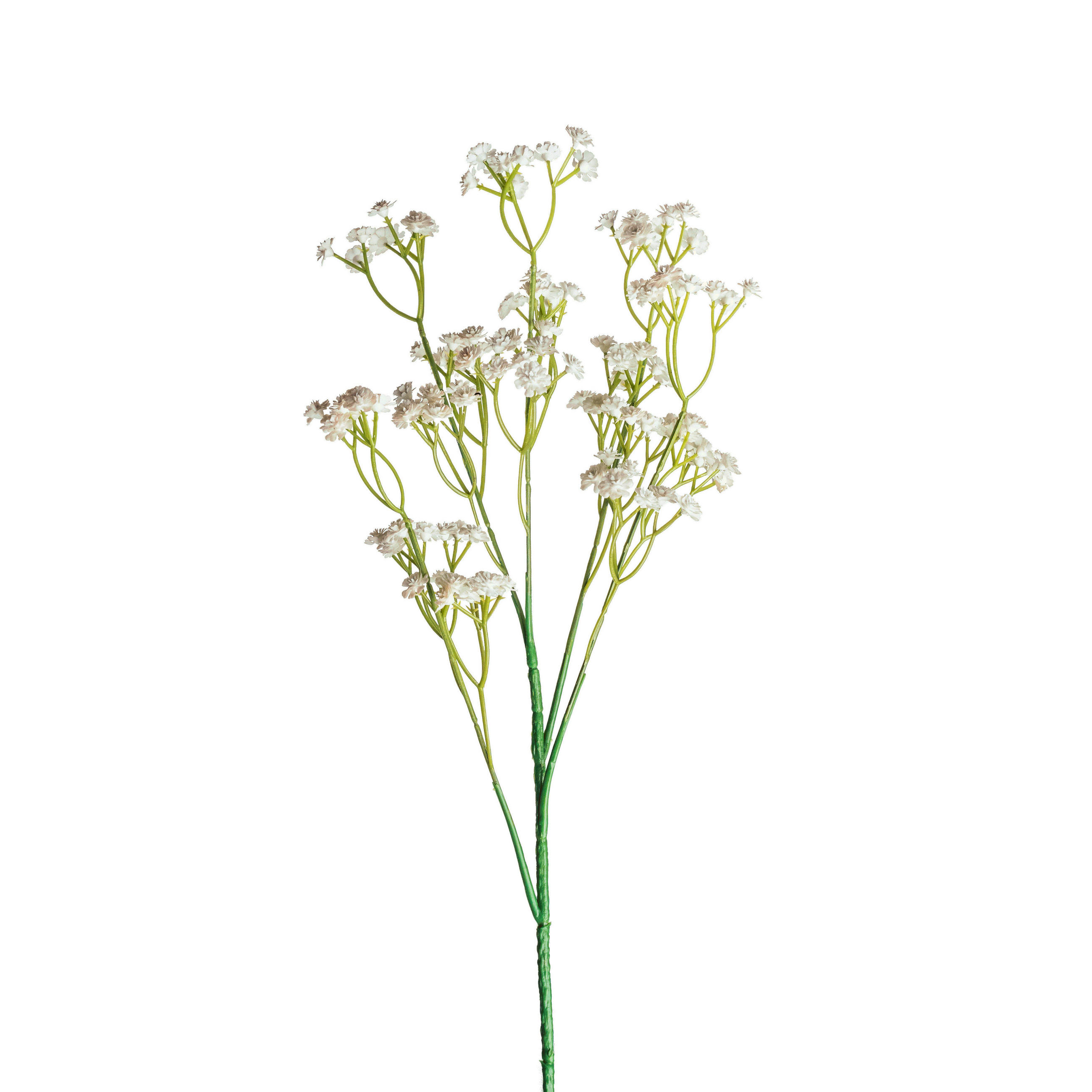 GYPSOPHILA - Weiss/Grün, Basics, Kunststoff (70cm)