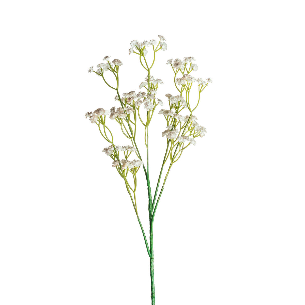 GYPSOPHILA - Weiss/Grün, Basics, Kunststoff (70cm)