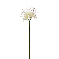 KUNSTBLUME  - Creme/Weiß, Basics, Kunststoff (89cm)