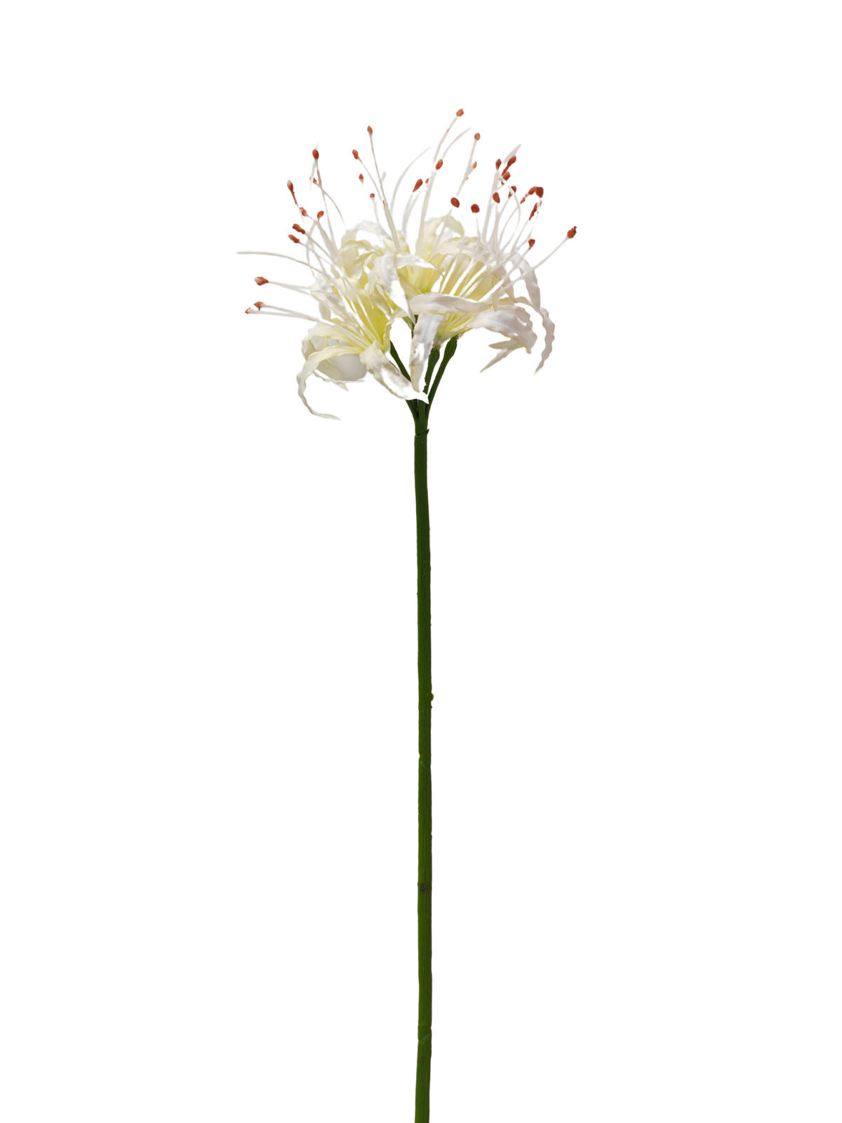 KUNSTBLUME  - Creme/Weiß, Basics, Kunststoff (89cm)