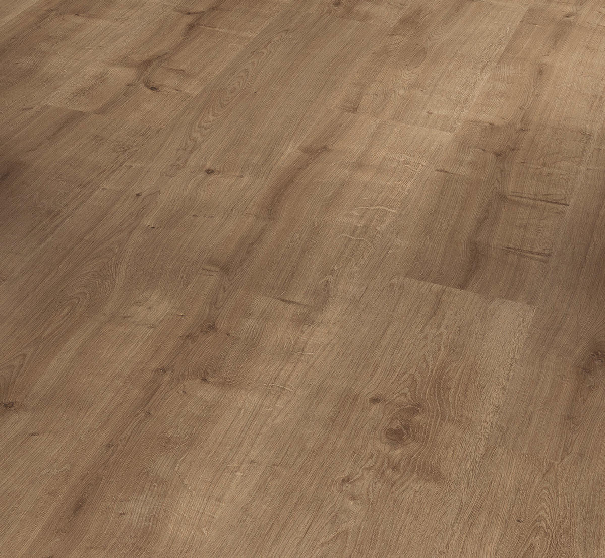 LAMINATBODEN Laminat Basic 400  per  m² - Eichefarben, Basics, Holzwerkstoff (128.5/19.4/0.8cm) - Parador