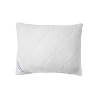 PÁRNA  Sleeptex  - Basics (40/50/10cm) - Sleeptex