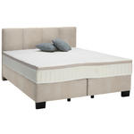 BOXSPRINGBETT 160/200 cm  in Taupe  - Taupe/Schwarz, Design, Kunststoff/Textil (160/200cm) - Hom`in