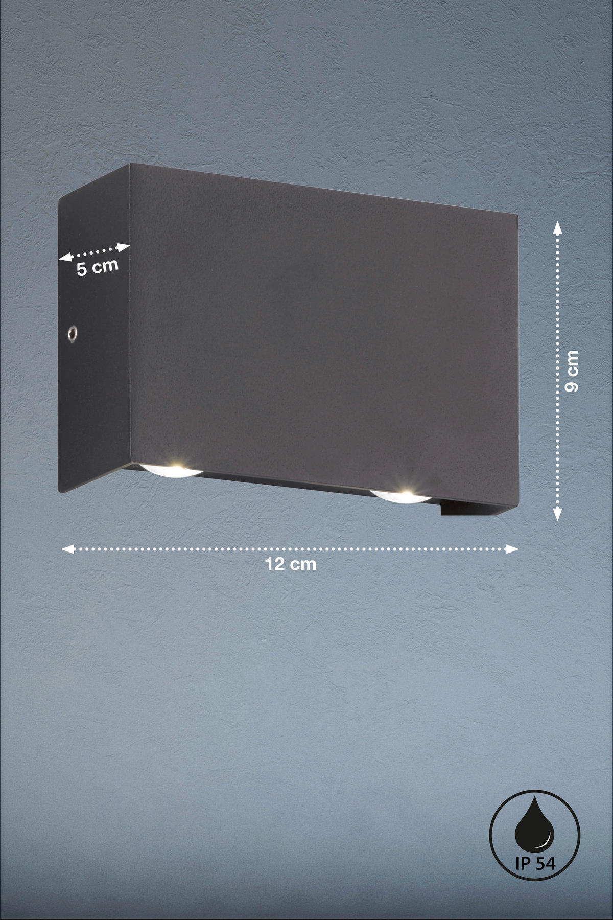AUSSENWANDLEUCHTE - Schwarz, Basics, Glas/Metall (8,70/11,80cm) - Fischer & Honsel
