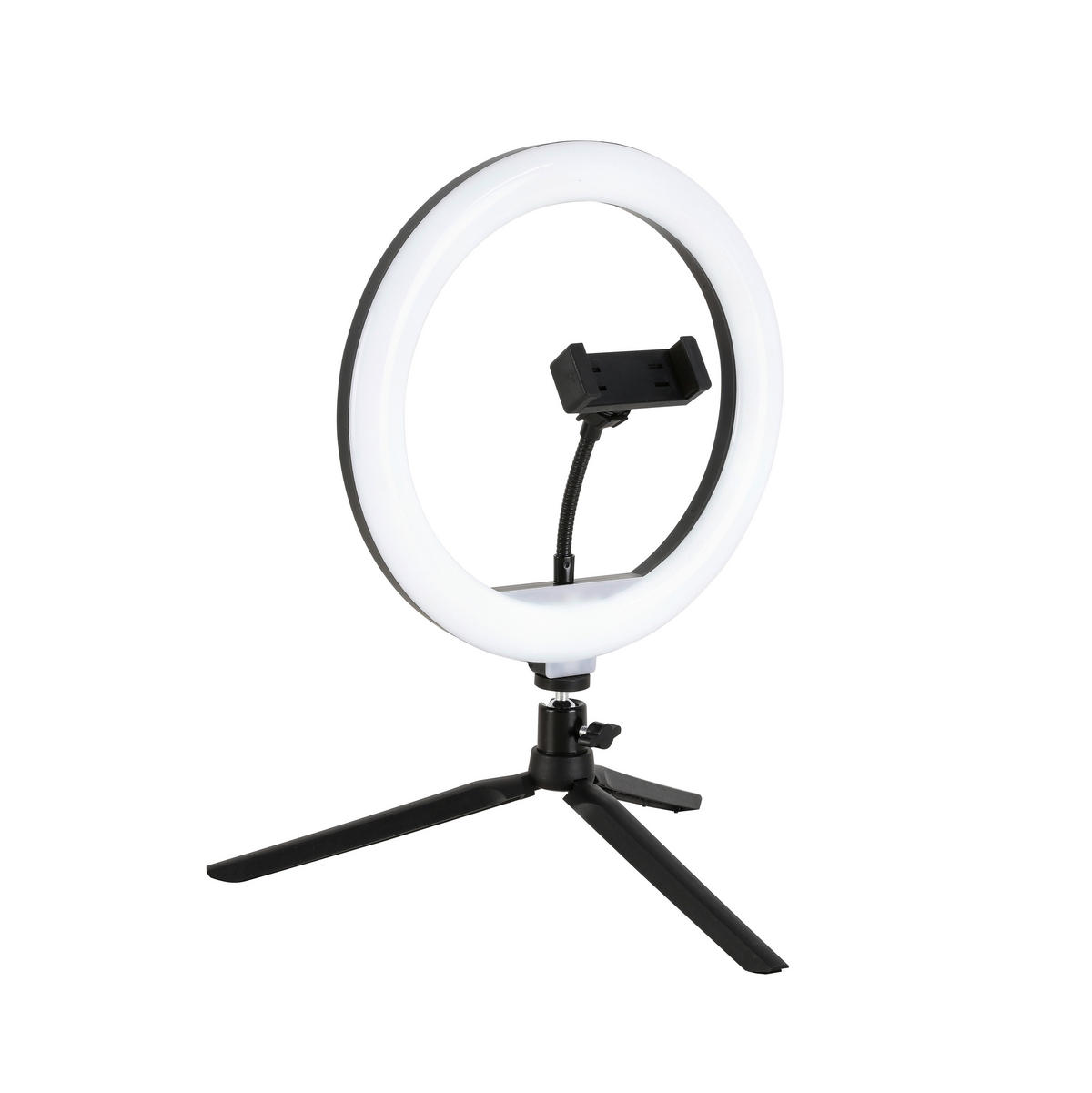 LED-RINGLAMPA 24,5/38 cm   - vit/svart, Trend, metall/plast (24,5/38cm) - Novel