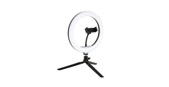 LED-RINGLEUCHTE 24,5/38 cm   - Schwarz/Weiß, Trend, Kunststoff/Metall (24,5/38cm) - Novel