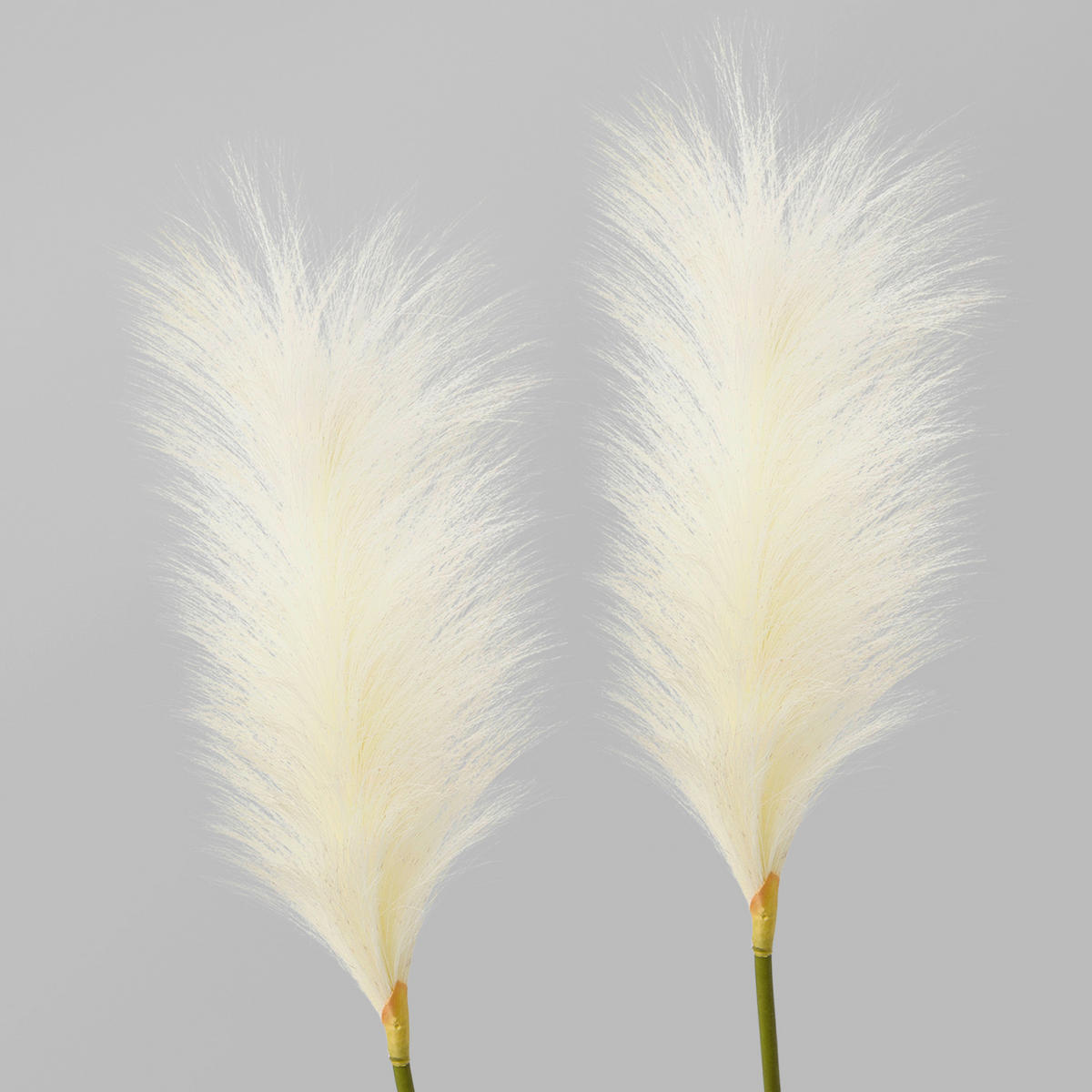 KUNSTPFLANZE 100 cm  - Weiß/Grün, Basics, Kunststoff (100cm) - P & B