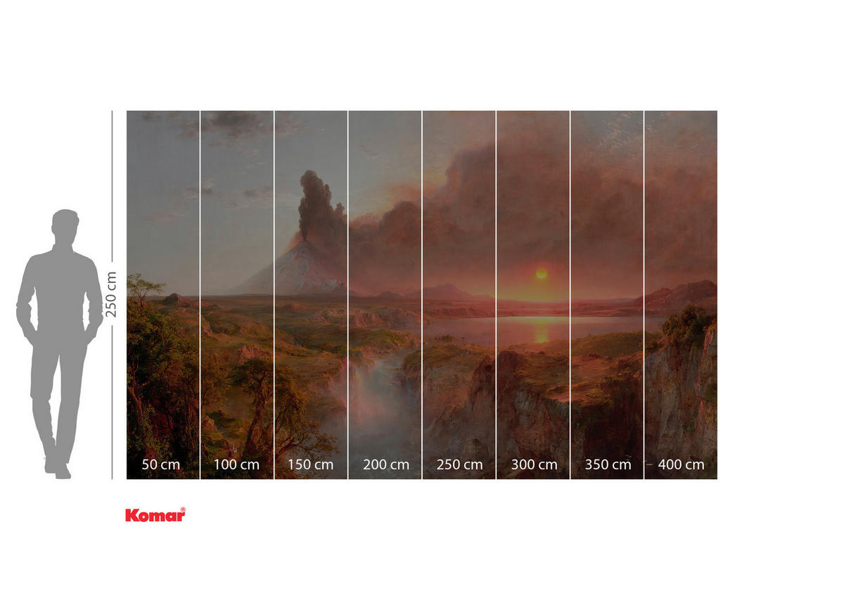 VLIESTAPETE 2,5 m  - Multicolor, Basics (400/250cm) - Xora