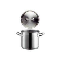 GEMÜSETOPF Professional 2,9 L  - Silberfarben, Basics, Metall (16/14,8/24,5cm) - Mäser