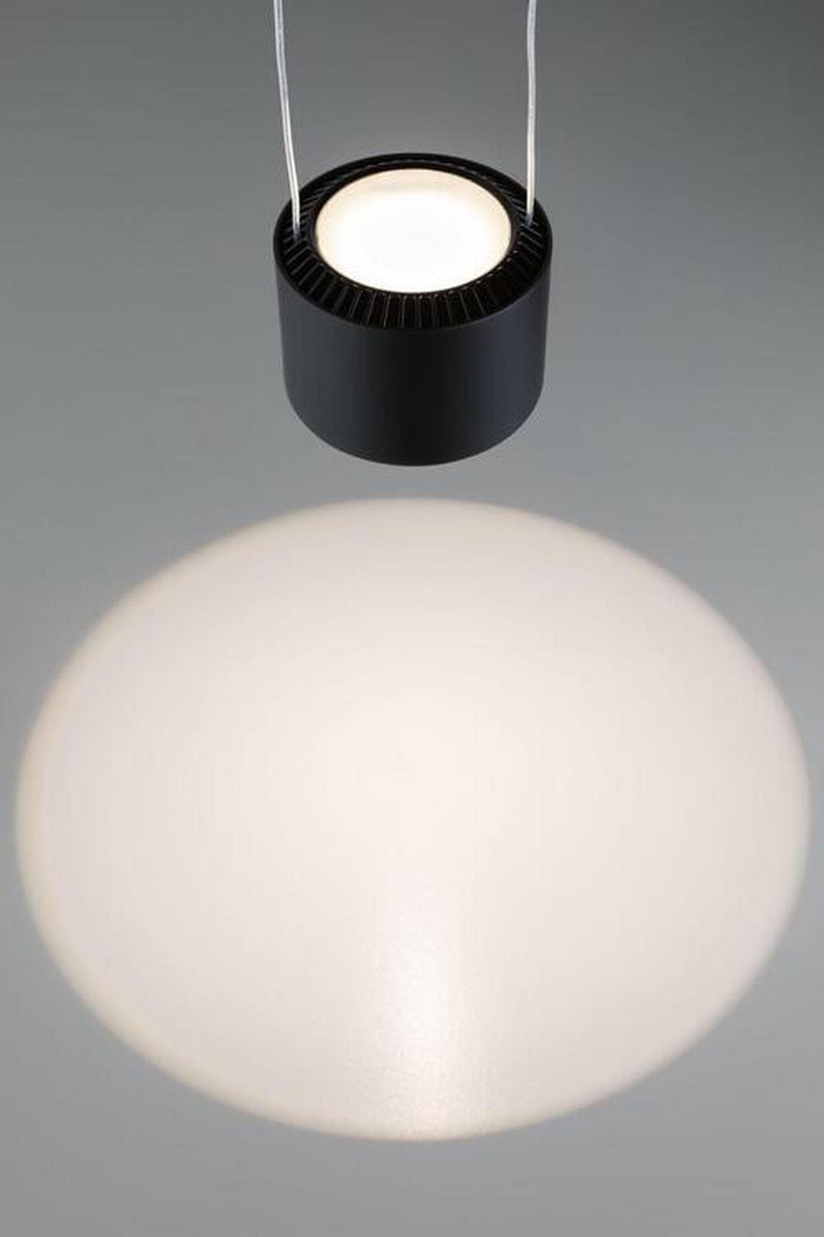 SCHIENENSYSTEM-HÄNGELEUCHTE - Schwarz, Design, Metall (8,5cm) - Paulmann
