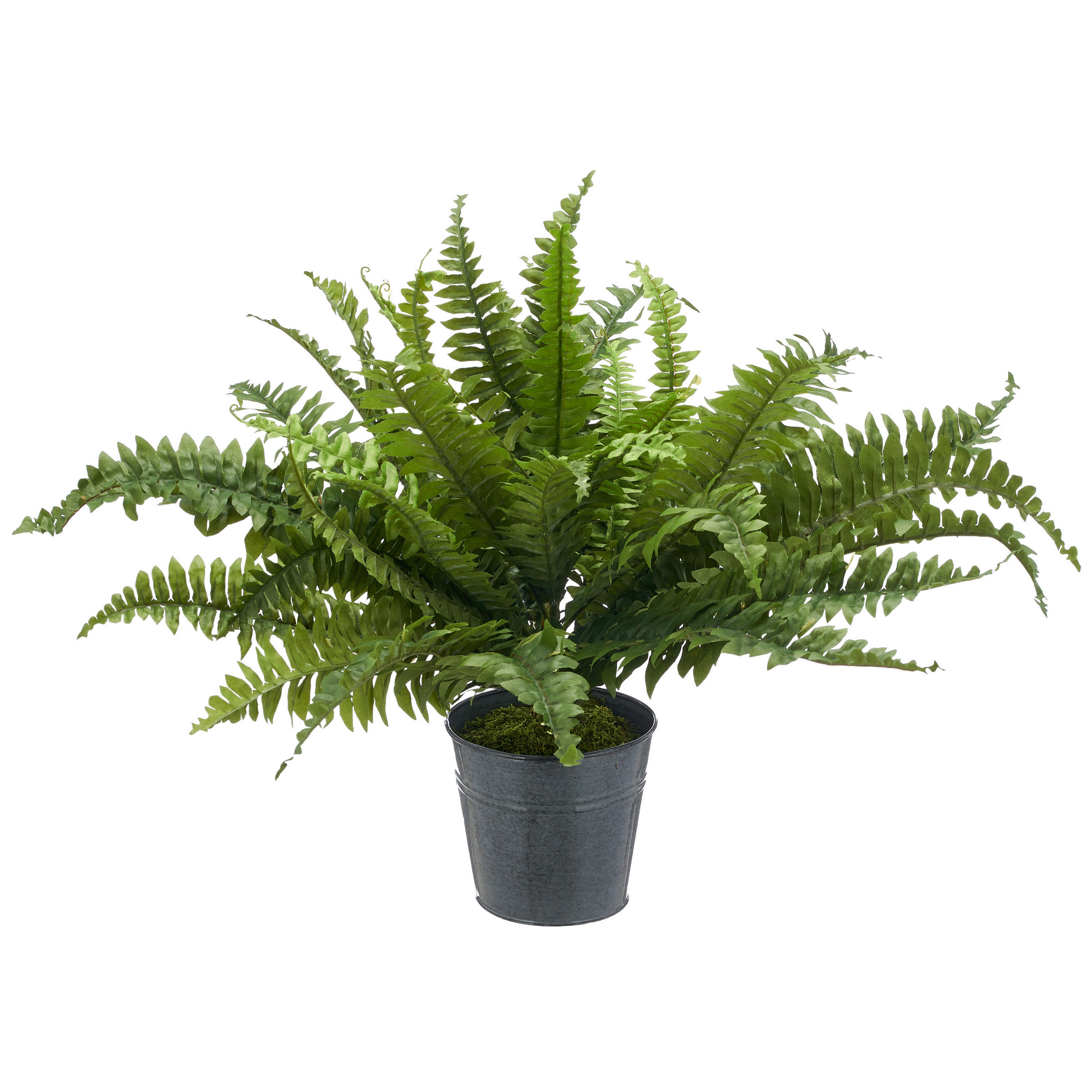 KUNSTPFLANZE Farn  - Zinkfarben/Grün, Basics, Kunststoff/Metall (70cm) - P & B