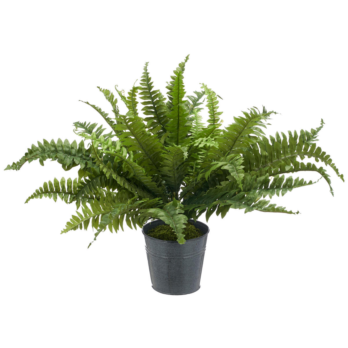 KUNSTPFLANZE Farn  - Zinkfarben/Grün, Basics, Kunststoff/Metall (70cm) - P & B