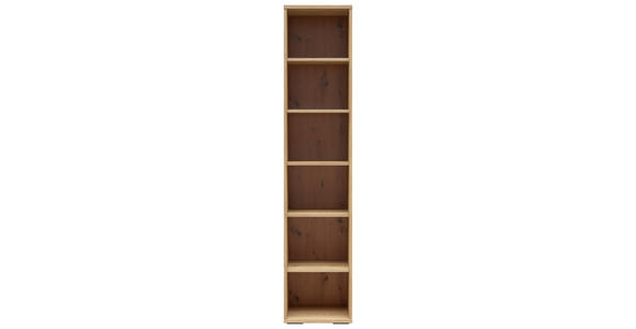 AKTENREGAL Eichefarben  - Eichefarben/Schwarz, KONVENTIONELL, Holzwerkstoff/Kunststoff (42/198/41cm) - Carryhome