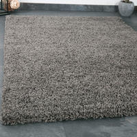 HOCHFLORTEPPICH 120/170 cm Prime Anthrazit  - Anthrazit, MODERN, Textil (120/170cm)