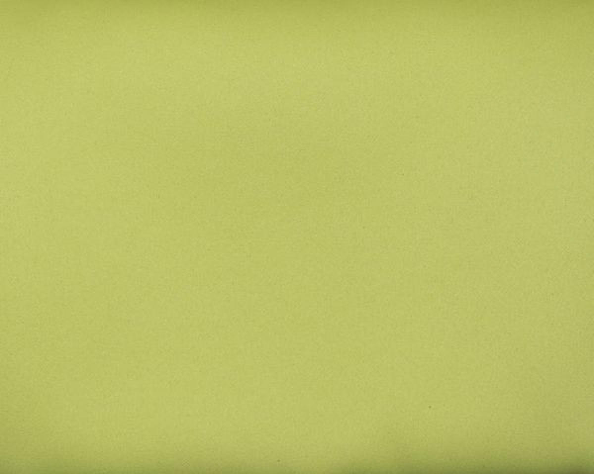 DEKORAČNÁ LÁTKA, zatemnenie, 150 cm - zelená, Basics, textil (150cm) - Esposa