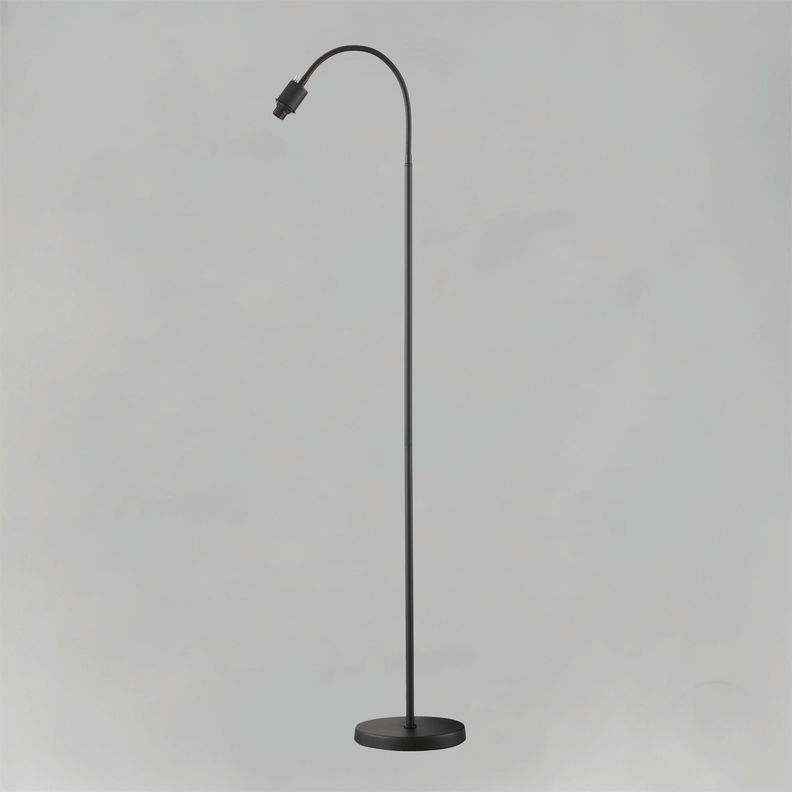 STEHLEUCHTE - Schwarz, Basics, Metall (20/145cm) - Fischer & Honsel